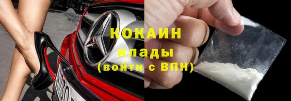 прущие грибы Заводоуковск