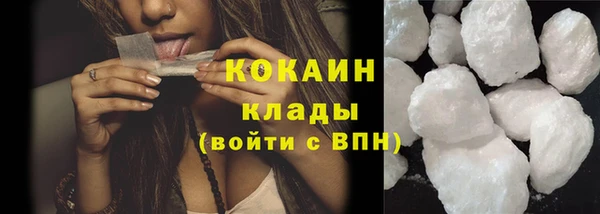 прущие грибы Заводоуковск
