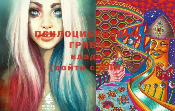 прущие грибы Заводоуковск