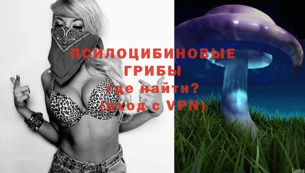 МДПВ Зерноград