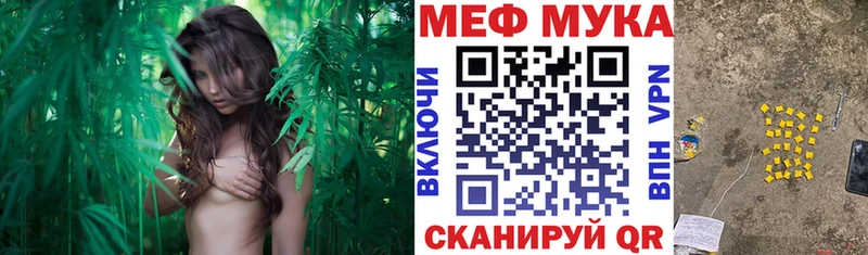 Купить  Лодейное Поле  МЯУ-МЯУ VHQ 